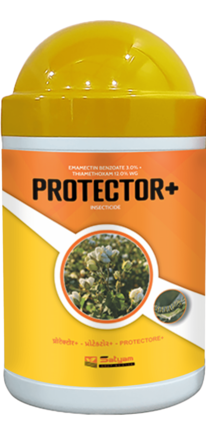 protector