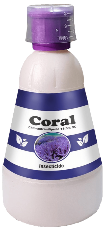 Coral