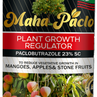 Maha Paclo