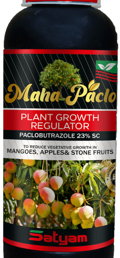 Maha-paclo