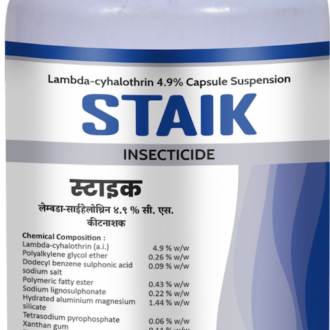 Staik
