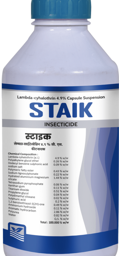Staik