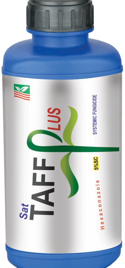 taff-plus