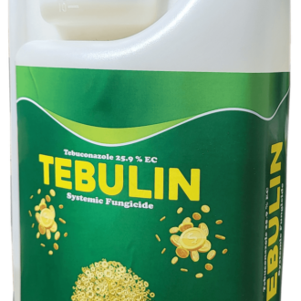 Tebulin