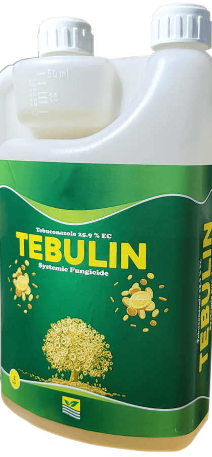 tebulin