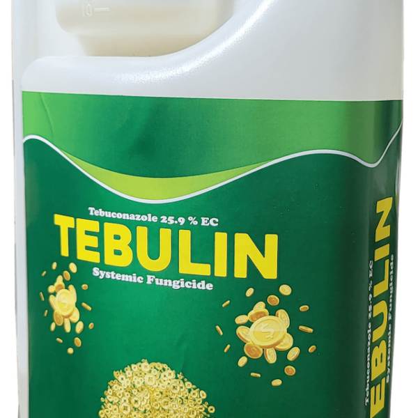 tebulin